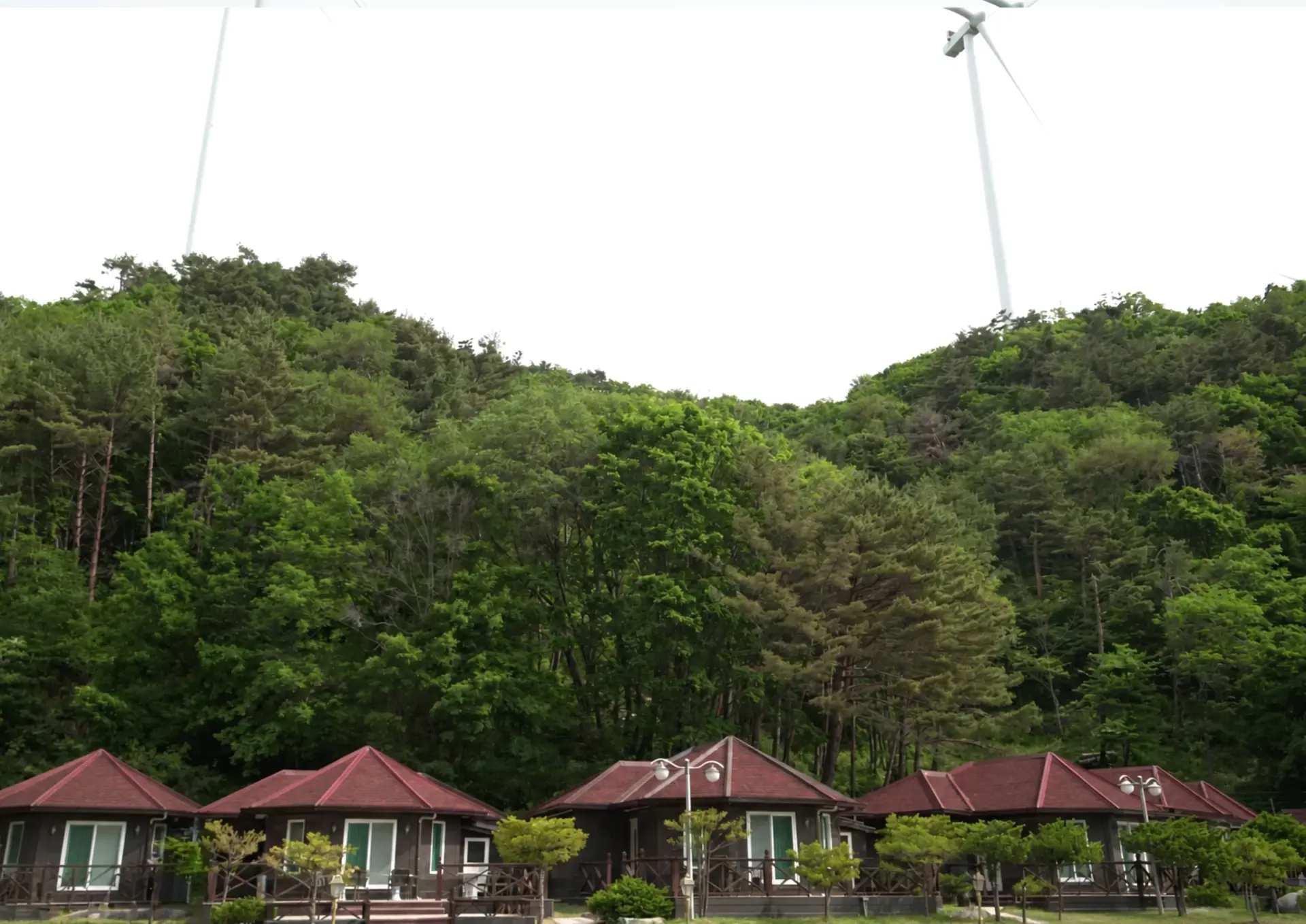메인 사진7