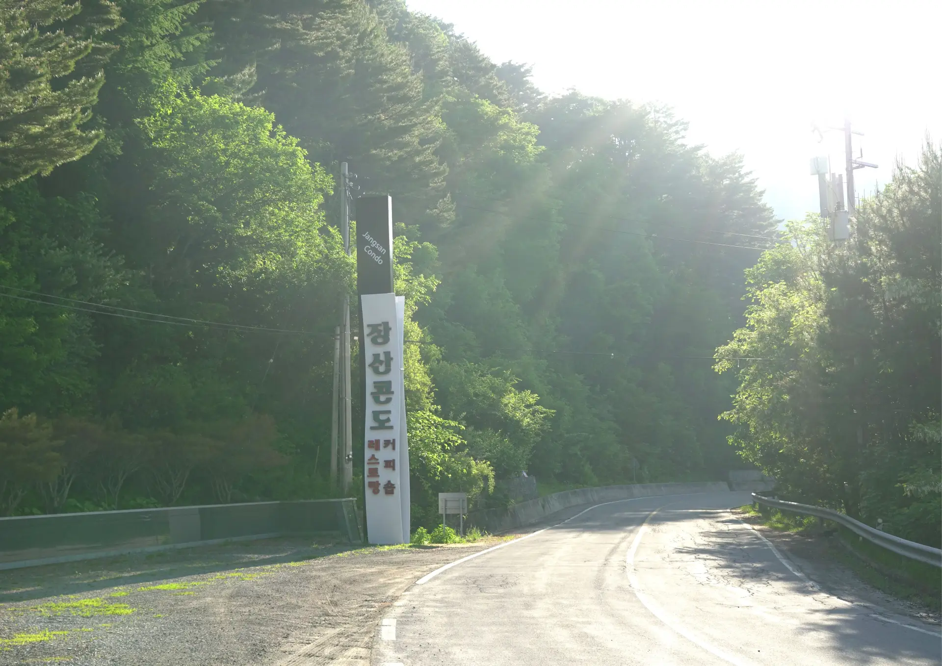 메인 사진8