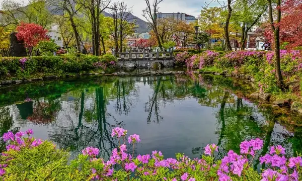 황지연못 사진